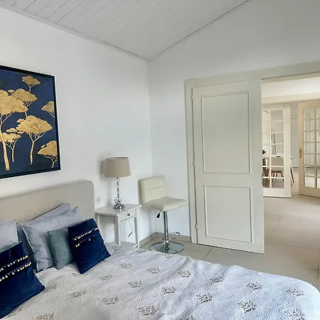 Mont-blanc Poolhouse Apartment Geneva